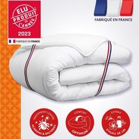 Duvet 200x200 cm DODO CHAMPS DE LIN - Warm - 450G/m² - Duvet for 1-2 people - Soft and warm - Anti-mite Antibacterial