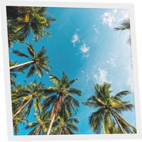 Dalle LED Imprimée 60x60 cm - Motif Évasion Tropicale - Lumière Blanc Neutre 4000K - Panneau Lumineux pour Plafond Bureau Salon Cuisine - Facile à Installer