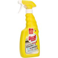 DUAL POWER SPRAY 500ML DETERGENTE PER SUPERFICI IN PLASTICA OKY