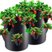 Deux sacs de culture de fraises de 10 gallons - sacs de culture de légumes, sacs de croissance pour plantes