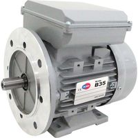 Moteur Électrique 220 V Double Condensateur MMD80G4B35 1,1 CV Moteur Monophasé 0,75 kW 1500 tr/min Bride B35