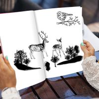 Tampon en silicone transparent pour scrapbooking, cartes postales et décoration photo DIY