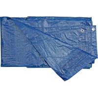 Plandeka 5x8m 75g