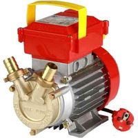 ELEKTROPUMPE UMPUMPEN VON FLÜSSIGKEITEN PUMPE BRONZE Ø 30 mm - 1 PS -