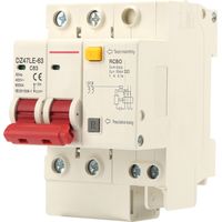 DZ47LE-63 2P Professional Miniature Circuit Breaker Leakage Protection Circuit Breaker