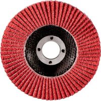 Fächerschleifscheibe 125 mm P 80, FS-CER Metabo