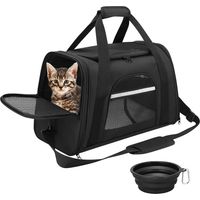Sac Transport Chat Chien Caisse de Transport Chat Respirant pour Un Voyage Confortable Sac de Transport Chien Respirant et Pliable Caisse de Transport avec Matelas en Peluche Amovible et Bol (Noir)