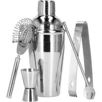 Zestaw di barman 5 elementi per cocktail, shaker da 550 ml in acciaio inossidabile, colore argento.