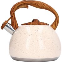 Bouilloire à sifflet 3L grande capacité en acier inox pour cuisinière à gaz et induction