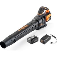LawnMaster MX 24 V soffiatore di foglie a batteria con ventola assiale, potente soffiatore da giardino senza fili con batteria agli ioni di litio MX 24 V e caricatore