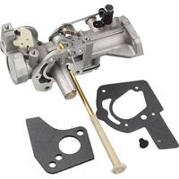 Vergaser 498298 5HP 490533 492611 495426 495951 692784 für Briggs und Stratton 130202 112202 112232 134202 137202 133212 Motor