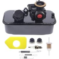 carburateur et réservoir 494406 499809 498809a pour Briggs & Stratton 112902 114982
