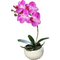 Orchidée phalaenopsis artificielle en coupe céramique H 25 cm Lavande - dimhaut: H 25 cm - couleur: Lavande