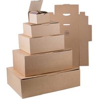 Boîte postale brune 200 x 140 x 75mm - COLIS 50 BOITES