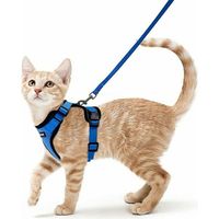 Katzengeschirr-Leine für kleine Hunde, verstellbar, Blau, XS, reflektierendes Katzengeschirr, atmungsaktive Haustierweste, Top-Clip mit Leine