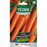 Tezier - Carotte Nantaise améliorée 3 race Tam Tam Fort Grammage