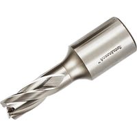 Rotabroach RAP120 HSS Annular MAG Drill with 12mm Short Raptor Broach Cutter