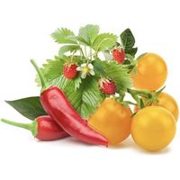 Click & Grow Mix Frutta e Verdura