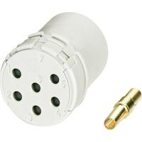 Contacteur mâle 12 Poles Rc12P2N8D0000 Coninvers 1599343 D22829