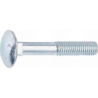 100 Vis tête ronde collet carré Zinguee - diamètre 6 mm - Longueur 60 mm mm - Diamètre 6 mm