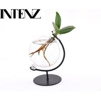 Clusia plante d’intérieur en verre, feuillage décoratif, pot 5 cm, hauteur 10 cm - PANGIVO