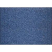 30 x PASSATOIA PASSAT H 67 CM BLU CARAIBI
