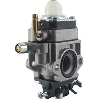 Carburateur Mtd