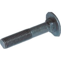 Flachrundschraube M16x80 10.9 LEMKEN 3012292