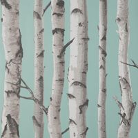 Fine Decor Birch Trees Duck Egg Wallpaper Modern Contemporary Paste The Wall
