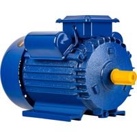 Moteur électrique 3,0 kW 220 V, construction robuste Kraft&Dele