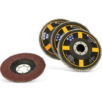 Set de disques abrasifs lamellaires DAYTOOLS, 115 mm, 4 pièces