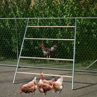 Grand perchoir pour poulailler – perchoir pour poules, jouet amusant pour poules, accessoire pour poulailler