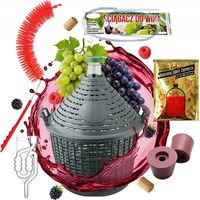 Ensemble bonbonne de 20 L pour vin, jus, bonbonne en verre avec panier