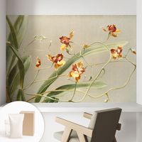 Papier peint intissé pour salon chambre à coucher peint imprimé Installation facile - Colle incluse gratuite Orchidées classiques 104x70 cm