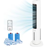 Climatiseur évaporateur 3 en 1 3L Oscillation 48° 3 vitesses 3 modes Timer 12h Blanc