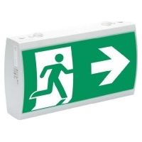 Ceag Notlichtsysteme LED-Rettungszeichenleuchte RAL7035 IP41 SV EURO 2-3/D LED