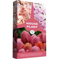 1 x 10L House Plant Compost Ideal For Indoor & Outdoor House Plants With Added Nutrients