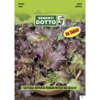 EXTRALATTUGA RSS FOGLIA RICCIA DA TAGLIO