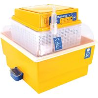Couveuse semi-automatique Novital Covatutto 24 Eco