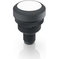 RAFI 1.10.011.001/0221 RAMO 22 T Drucktaster 35 V/DC 0.1 A tastend (L x B x H) 40 x 29.8 x 29.8 mm