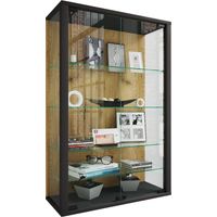 Wandvitrine Hängevitrine Glas Udina L