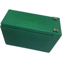 Vigor-blinky Batteria Litio per Pompa Irroratrice Summy 12 Ah 12 V 5h autonomia colore Verde