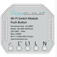 Modulo Pulsante Intelligente Wi-Fi Da Incasso (As-Sbm1)