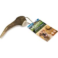 ARQUIVET Corno di cervo - Corno da masticare per cani ecologico - Corno di cervo per cane - Corno da masticare naturale - Corno di cervo raccolto autunnale - M - 40-75 g