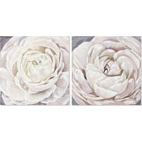Decoración mural - DKD HOME DECOR - Flor - Multicolor - 2 piezas - 80 cm