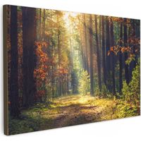 TABLEAU SUR TOILE Forêt - Automne - Arbres Toile Peinture Grand Format XXL 150x100 cm