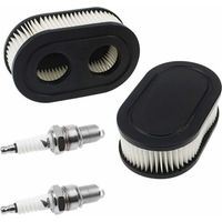 Briggs & Stratton Luftfilter 798452 und 5432 - Motorteile für Rasenmäher 593260 mit 2 Zündkerzen
