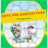 Rete proland zincata esagonale maglia 16/2 mm altezza 60 cm rotolo da 50 metri