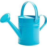 Arrosoir métal 5 L pour enfants, seau jardin, plantes (couleur aléatoire).