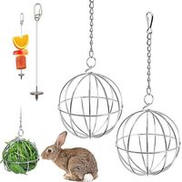 2 Pieces Hay Ball, Pet Hay Ball, Rabbit Ball Feeder, 1 Pieces Vegetable Feeding Steel Fork, For Feeding Small Animals